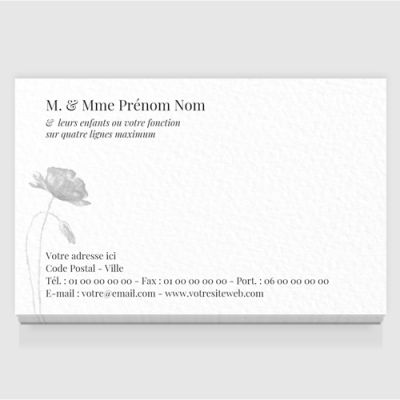 Carte de visite grand format