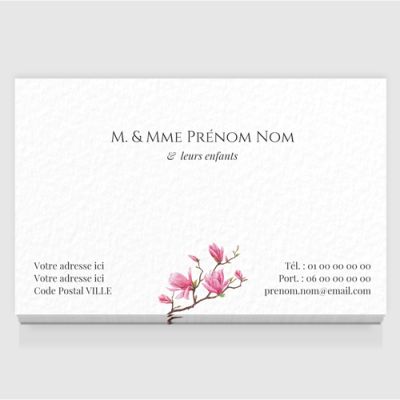 Carte de visite grand format