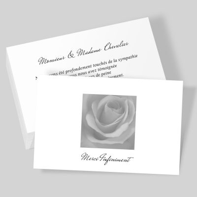 Carte de visite grand format RV