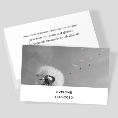 Carte de visite grand format RV