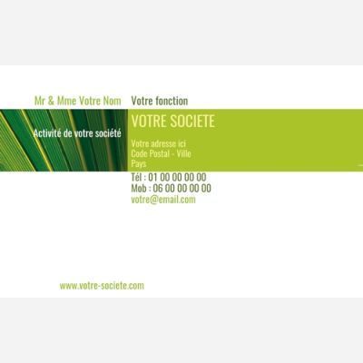 Carte de visite grand format
