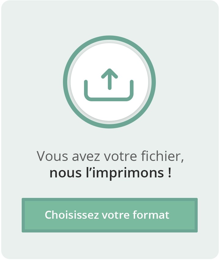 cartes de visite - vierge