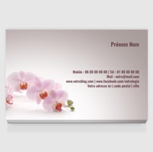 Carte de visite grand format - Ref CV-D11371