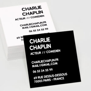 Carte de visite carrée RV - Ref CV-J14384