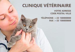 Carte Postale - Ref CP-A14874