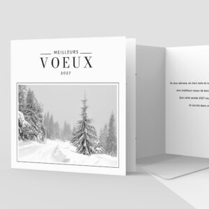 Carte de voeux 2 volets - Ref CX-A15600