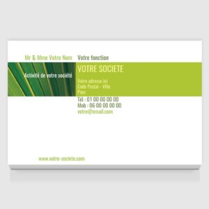 Carte de visite grand format - Ref CV-D278
