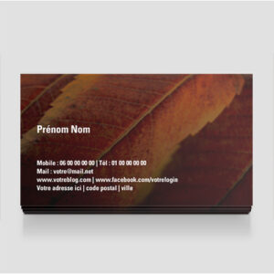 Carte de visite gratuite - Ref CV-A9215-GR