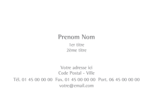 Carte de visite - Ref CV-A2212