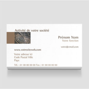 Carte de visite - Ref CV-A9787