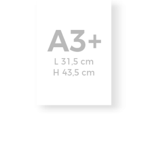 Affiche A3+ (31,5 × 43,5 cm) - Ref AFA3P