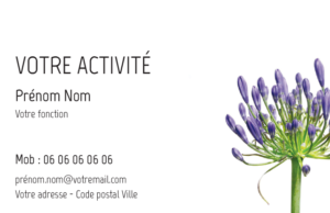 Carte de visite Fleuriste CV-B15228