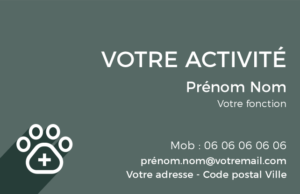 Carte de visite Vétérinaire CV-B15236