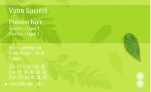 Carte de visite gratuite - Ref CV-A3858-GR