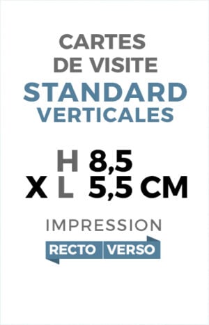 Format standard vertical - Recto Verso - Ref CV-I9030