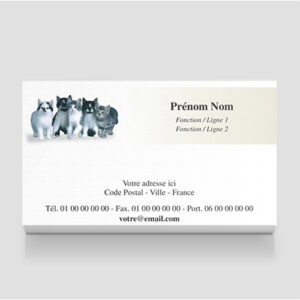 Carte de visite gratuite - Ref CV-A4217-GR