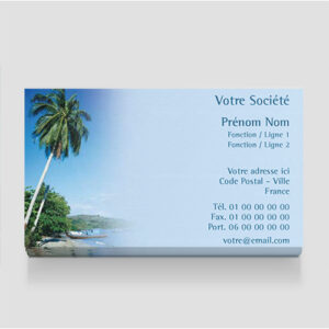 Carte de visite gratuite - Ref CV-A4218-GR