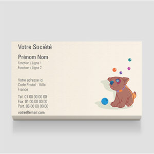 Carte de visite gratuite - Ref CV-A3850-GR