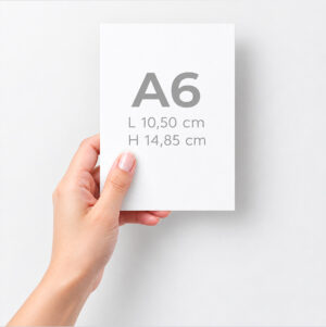 Flyer A6 (10,5 x 14,8 cm) - Ref FYA6