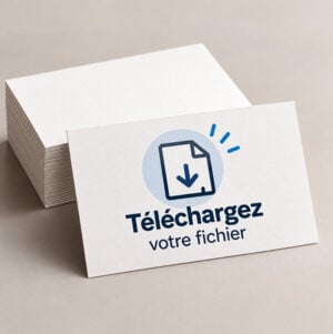 Téléchargez votre fichier